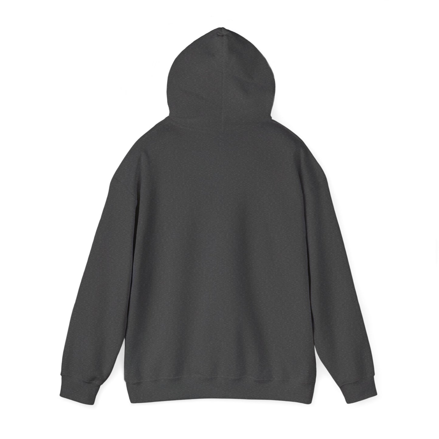 HTL - Thin Gold Line Hoodie